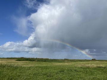 Natuurwerkdag 9 maart 2024